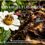 LAS ABEJAS Y LAS MOSCAS